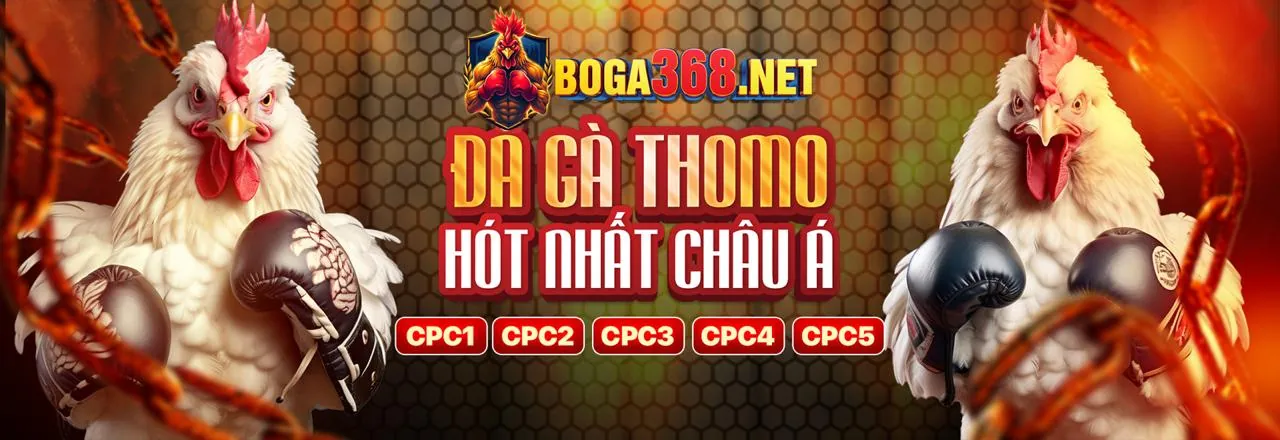 Hình ảnh chính về các câu hỏi thường gặp của 2233win link mới