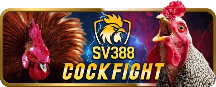Giao dịch an toàn 2233win